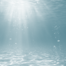 Marine background