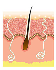 Step 6 DÉCAAR Algae Peel